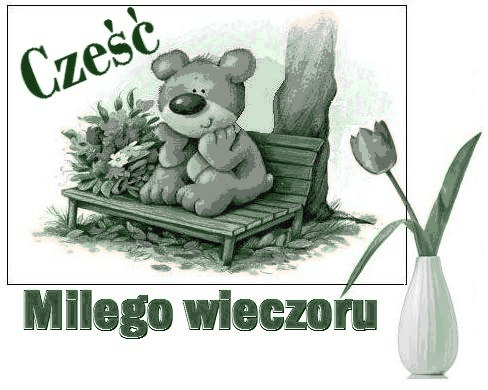 Misiu na ławce miłego wieczoru